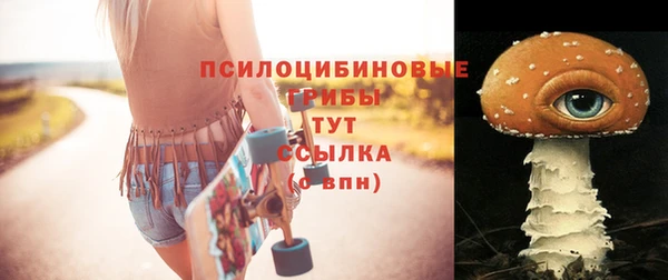 spice Рославль