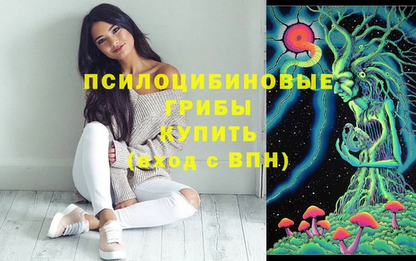 гашик Аркадак