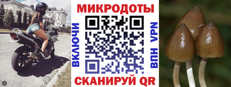 купить наркоту Спас-Деменск Галлюциногенные грибы Magic Shrooms